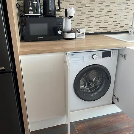 Apartment Studio Victor 401